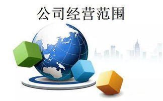 注冊服務類公司經(jīng)營范圍撰寫指南